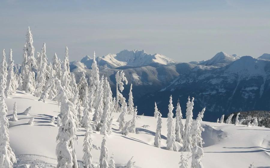 Sasquatch Mountain