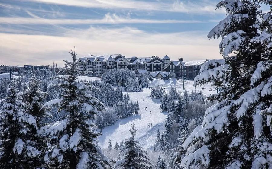 Snowshoe