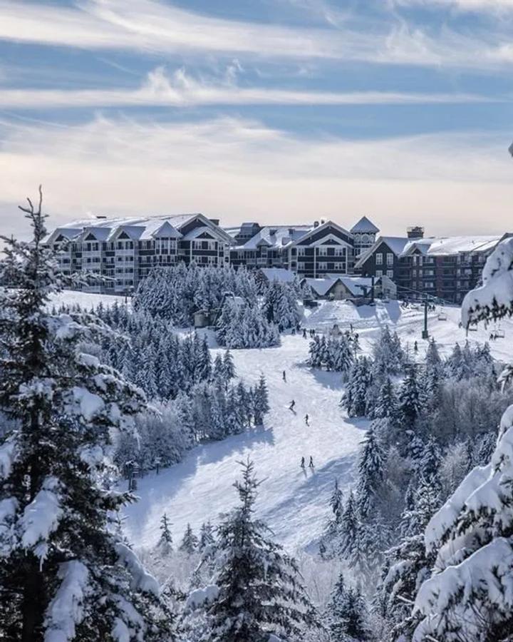 Snowshoe