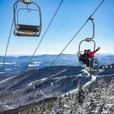 Sugarbush