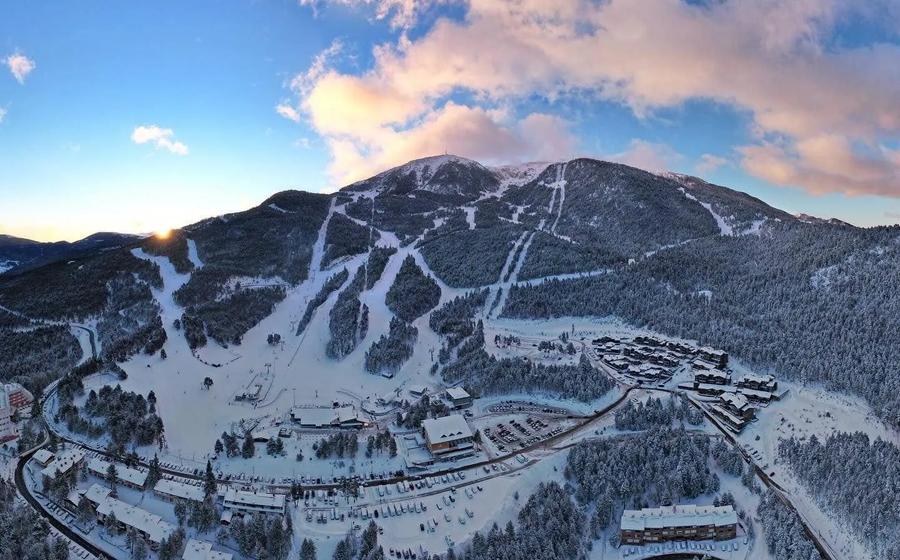 Masella