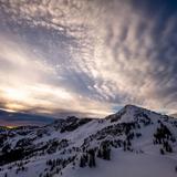 Alta