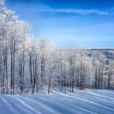 Holimont