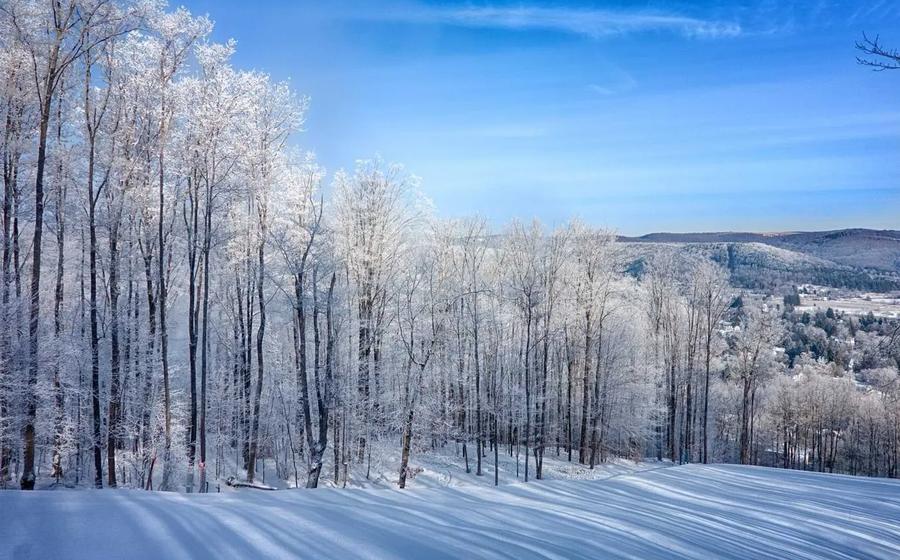 Holimont