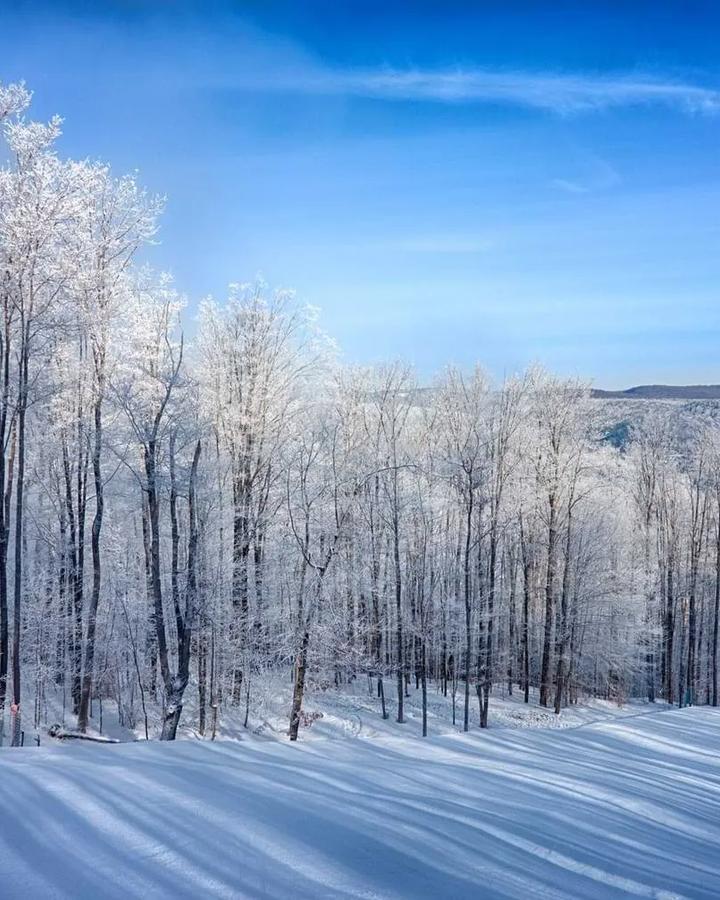 Holimont