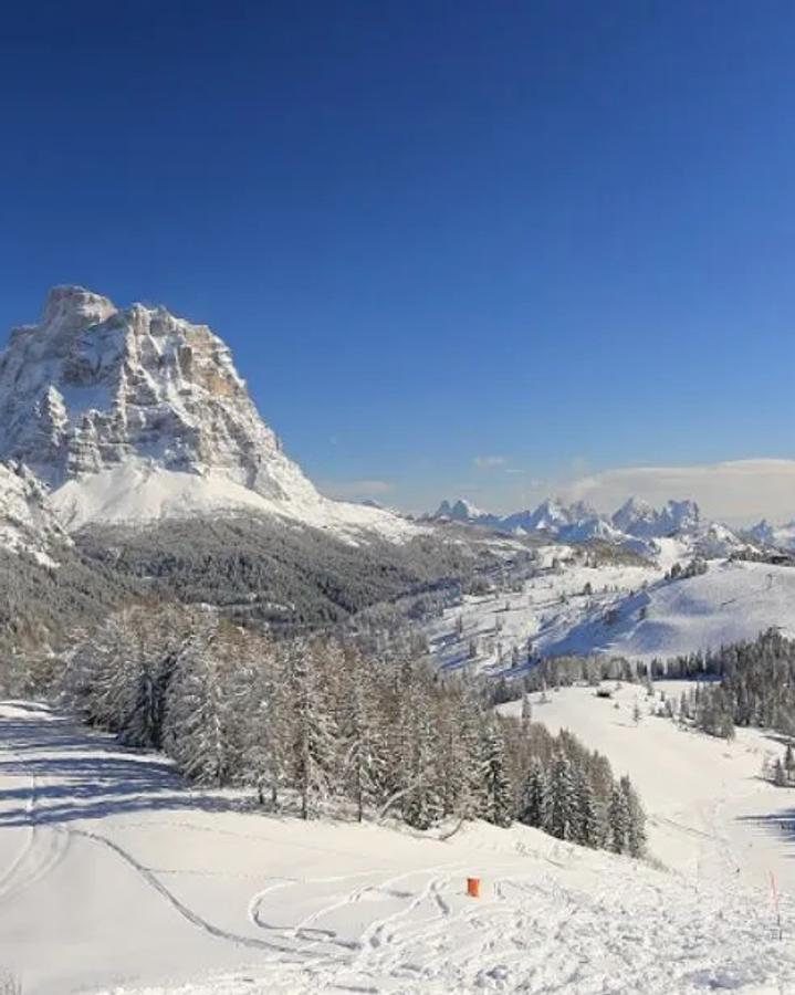 Civetta