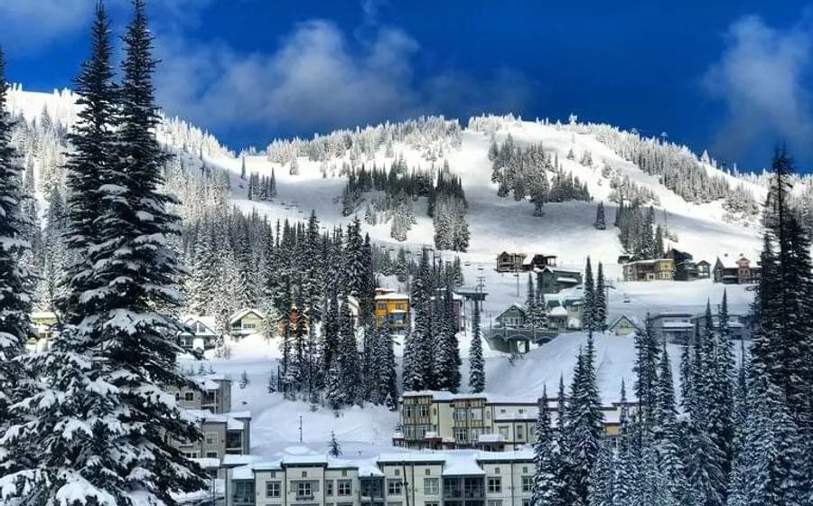 Silverstar
