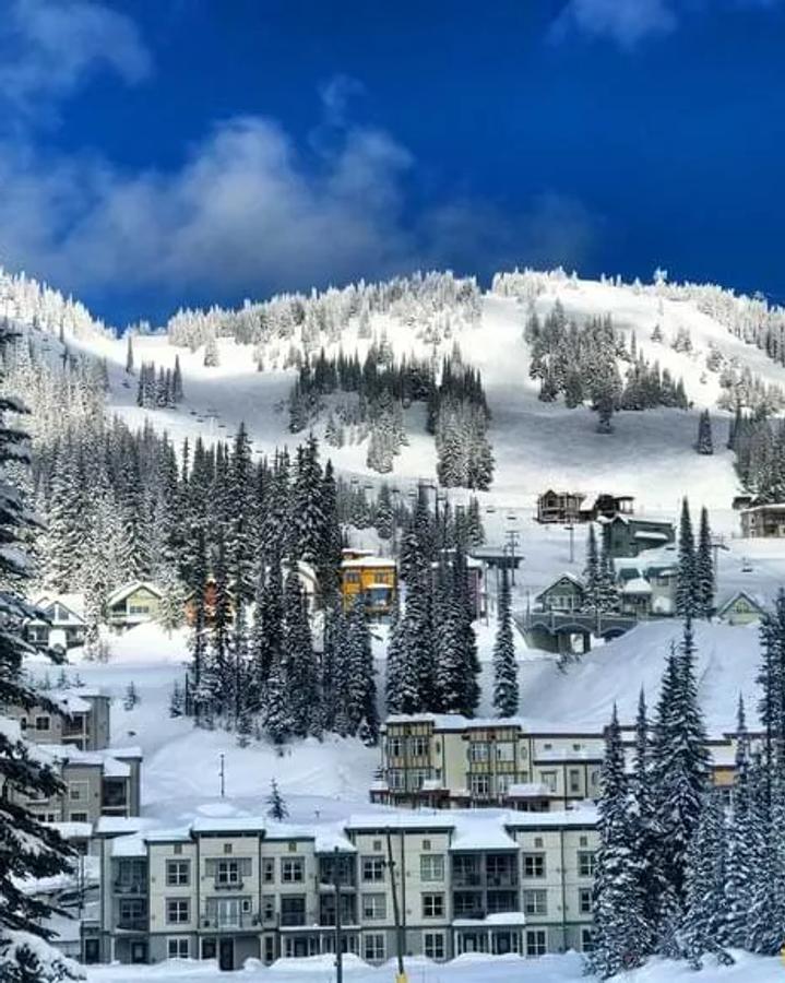 Silverstar
