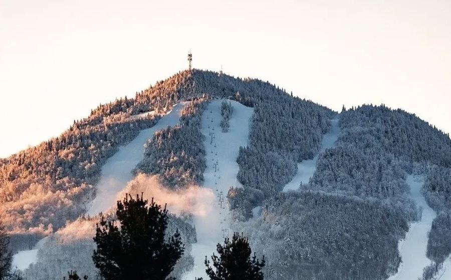 Owls Head
