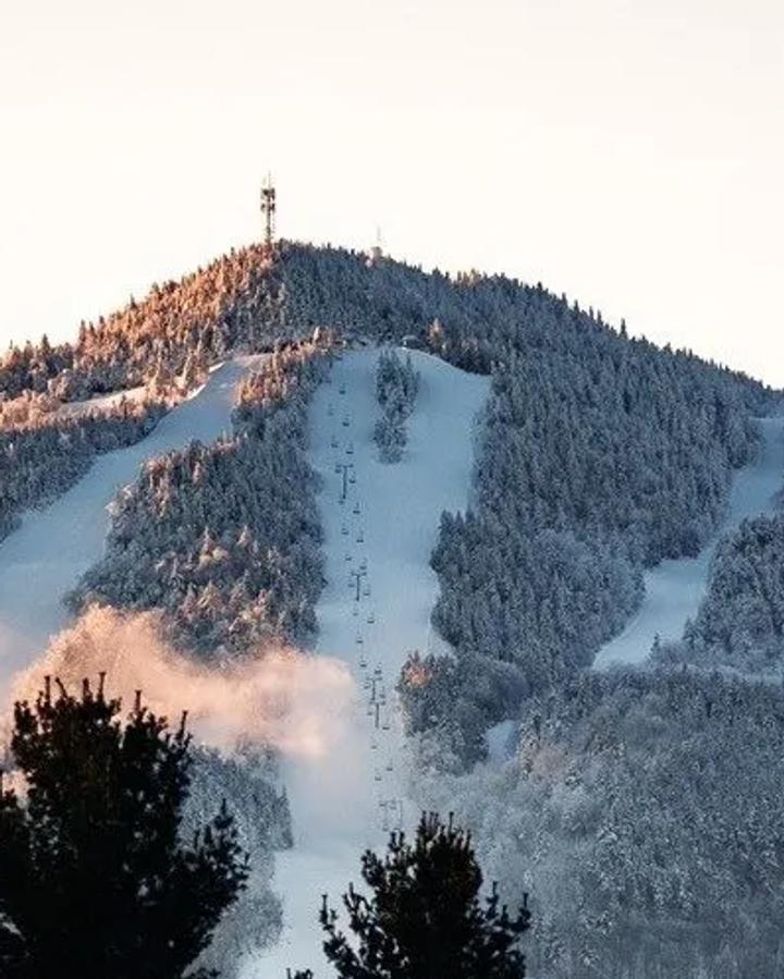 Owls Head