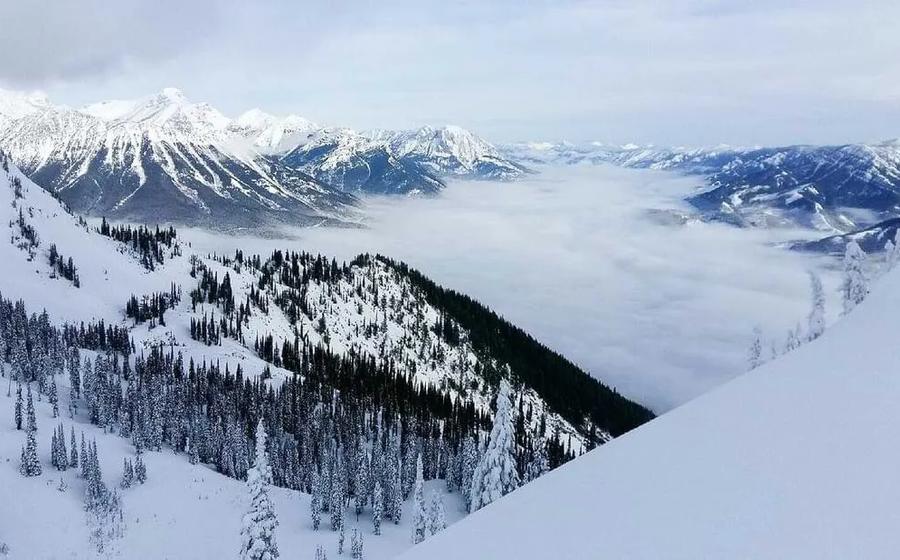 Fernie Alpine Resort