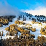 Beaver Mountain