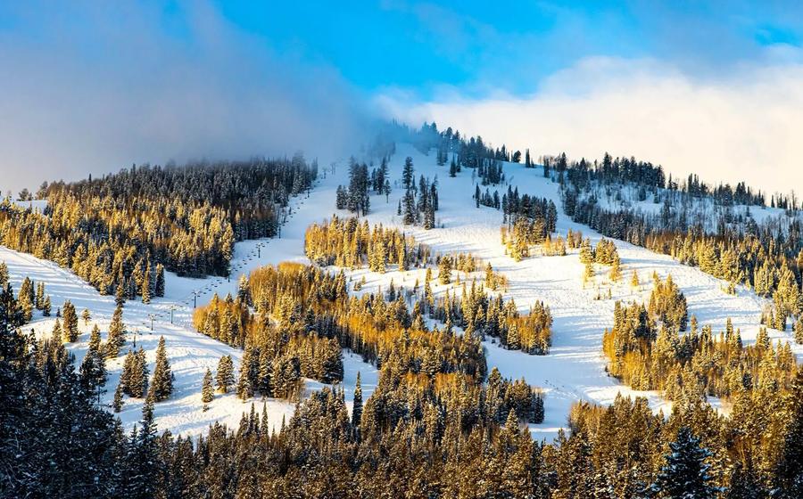 Beaver Mountain