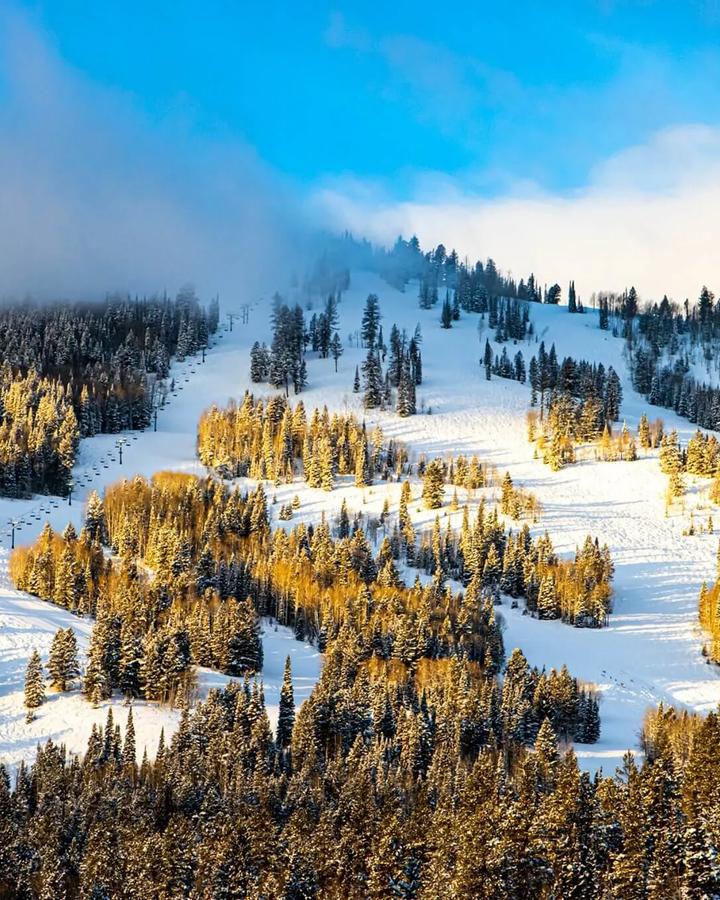 Beaver Mountain