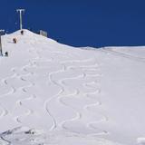 Mt Cheeseman