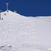 Mt Cheeseman