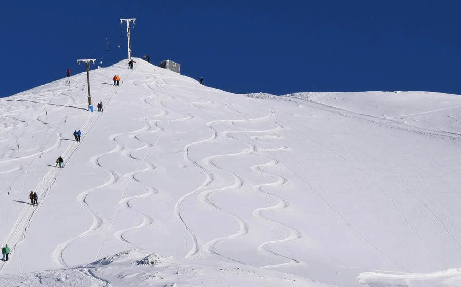 Mt Cheeseman