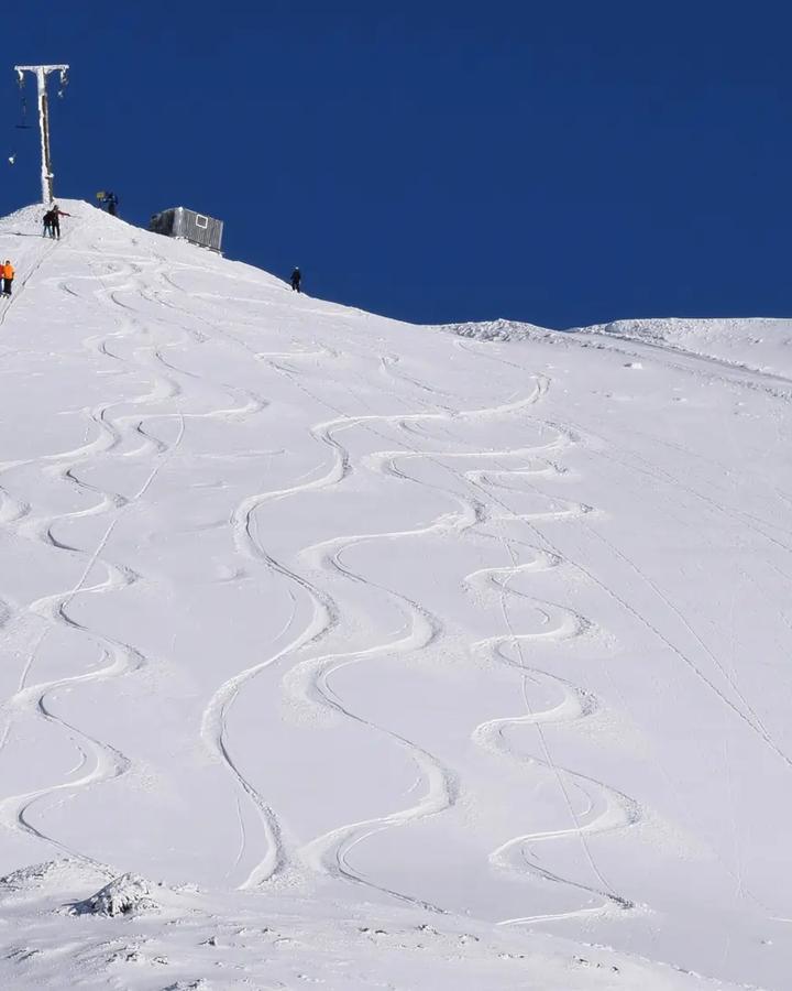 Mt Cheeseman