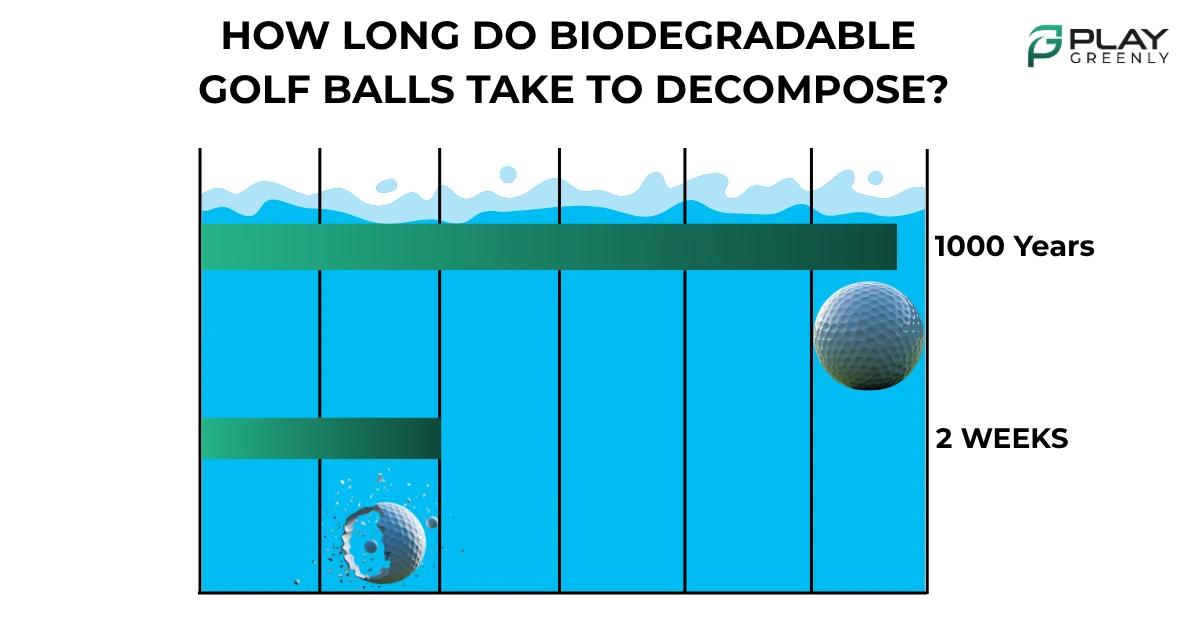 Cutaway view of a biodegradable golf ball showing 95 percent PVA material and 5 percent natural plasticiser