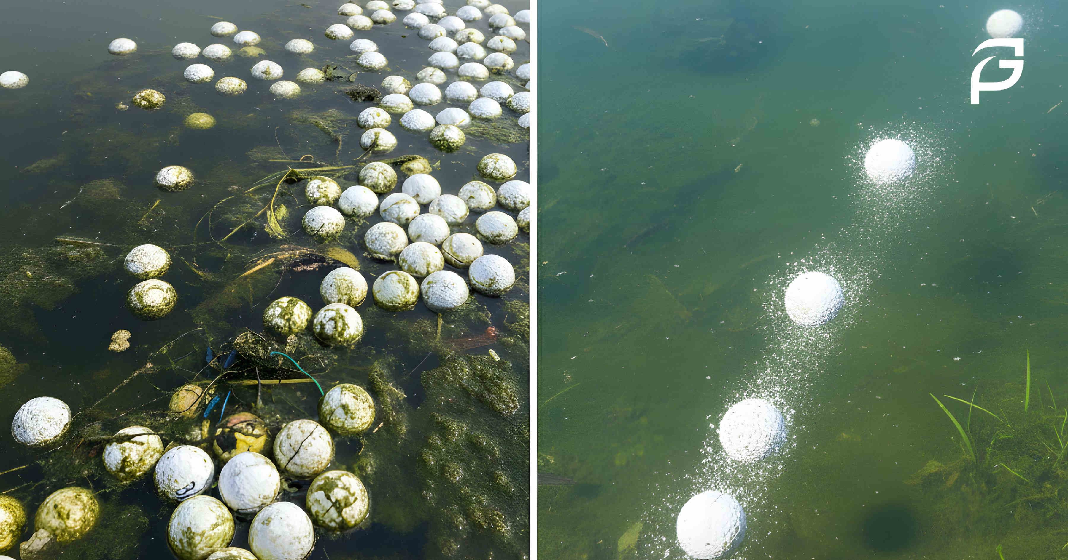 Golf balls resting underwater showing pollution and environmental damage caused by traditional golf balls