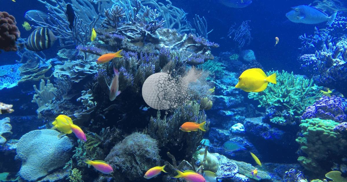 Biodegradable golf ball dissolving safely near fish and coral in an ocean environment