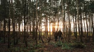 Chris and Rose Bax walking in the forest