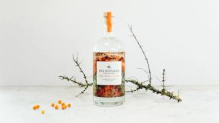 Sea Buckthorn flavour alcohol free spirit