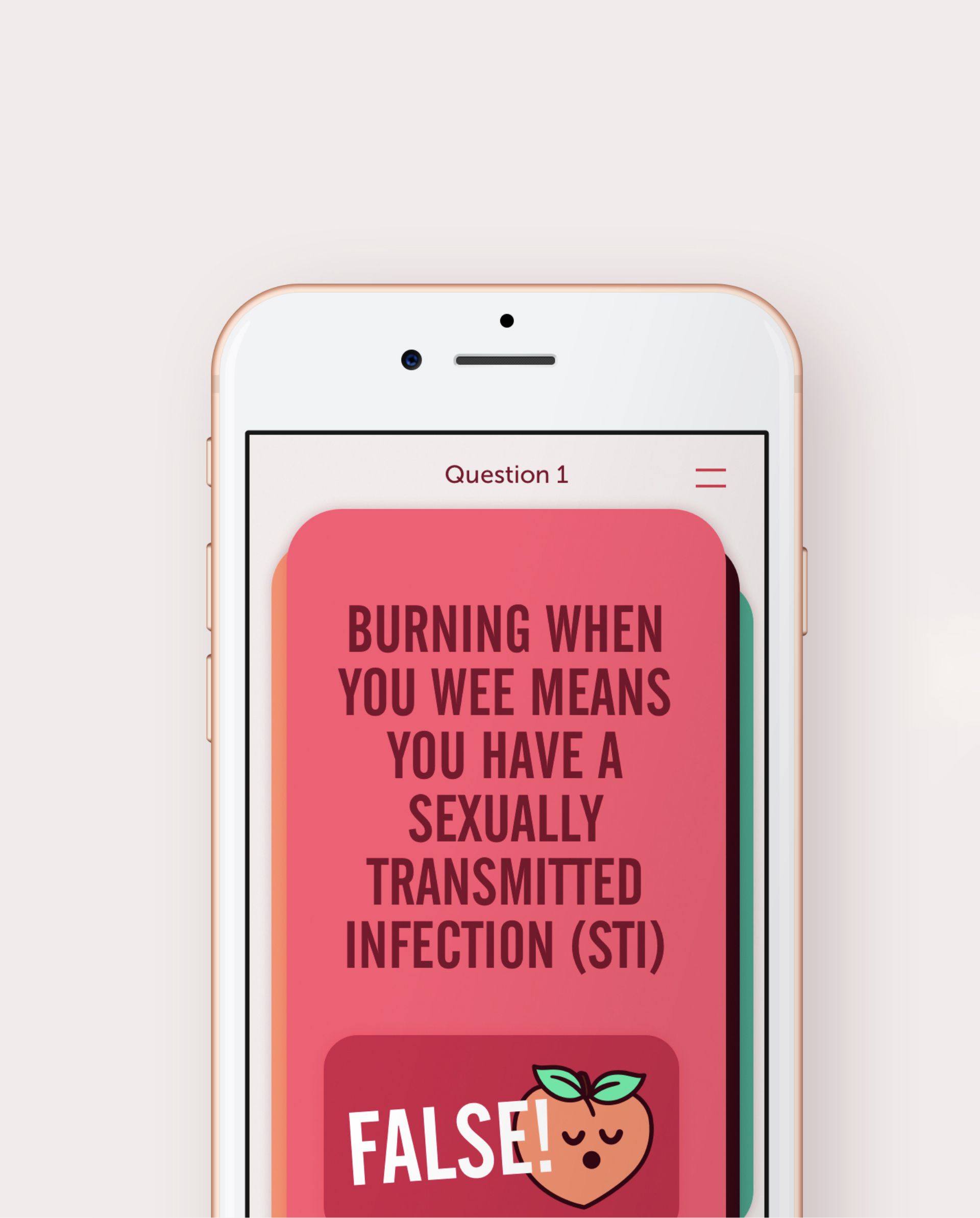 iPhone visual of the vulva app