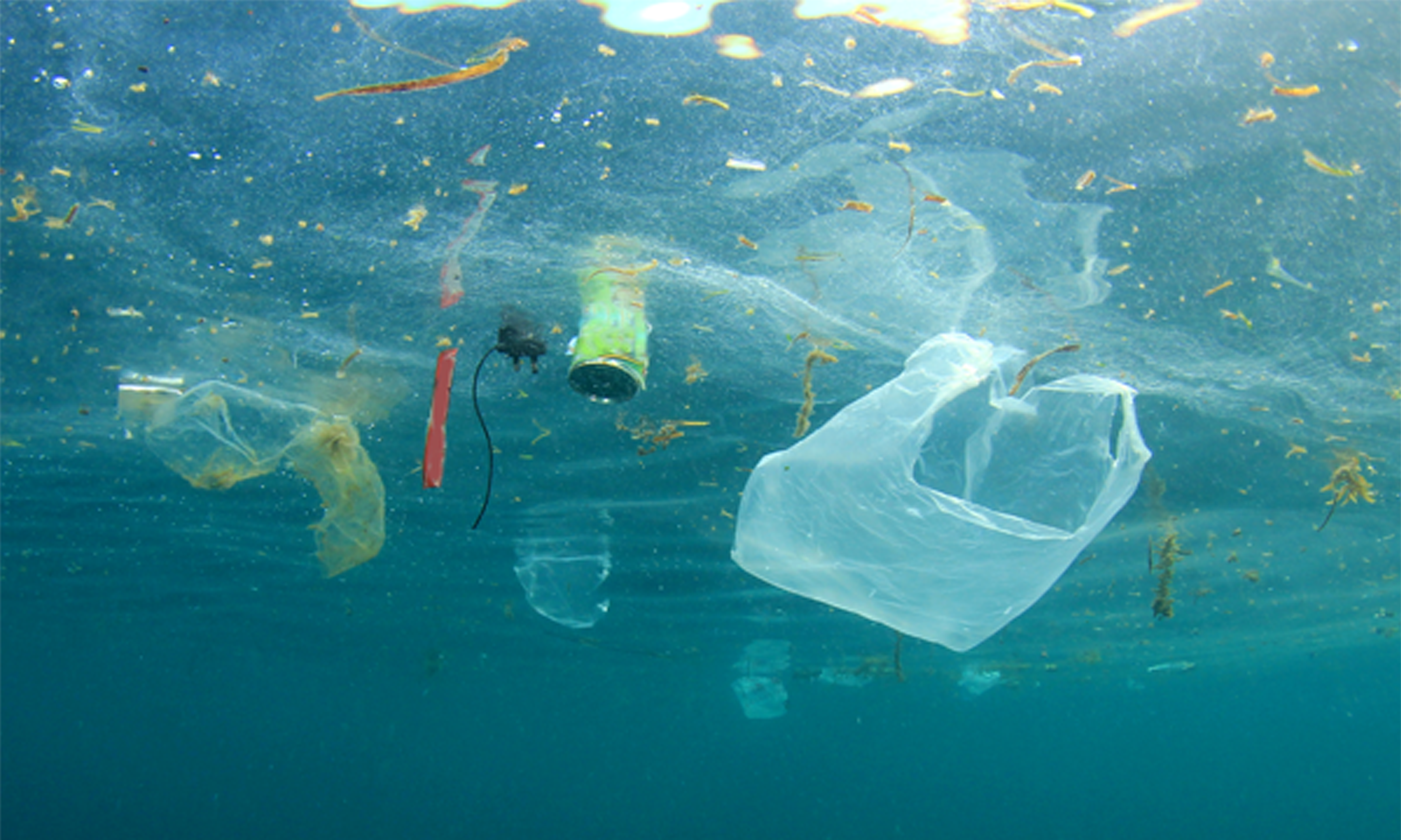 Shot inside the ocean, looking up at plastic bags floating