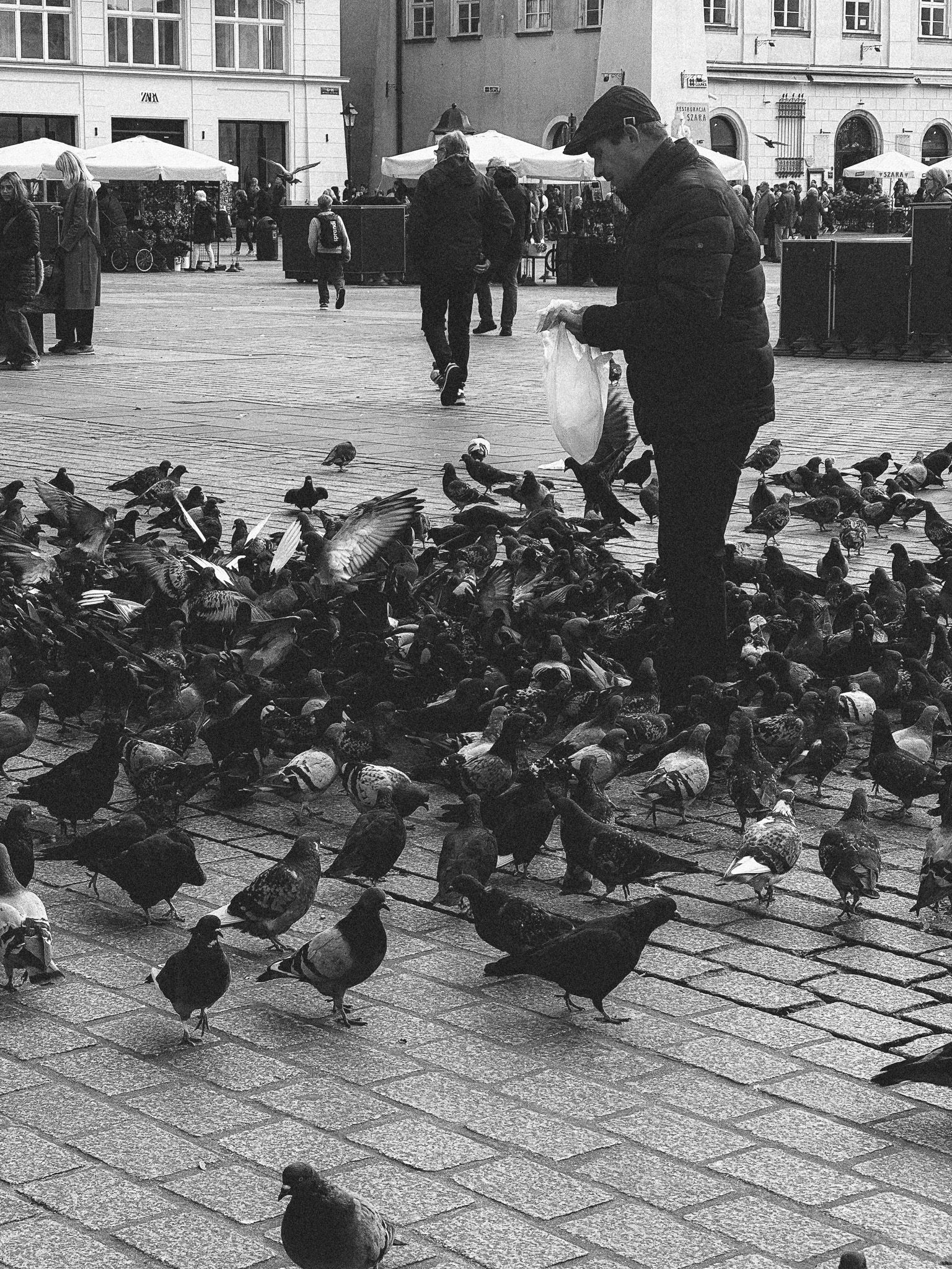 Man feeding pigeons