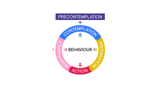 Diagram: Precontemplation leading into Contemplation, Precontemplation, Action, Maintenance. Behaviour sits in the middle, with all areas affecting this.
