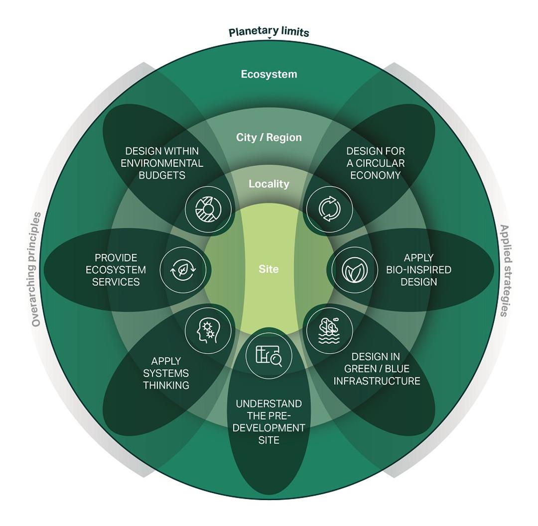 7 regenerative design principles to change our cities | AECOM Insights