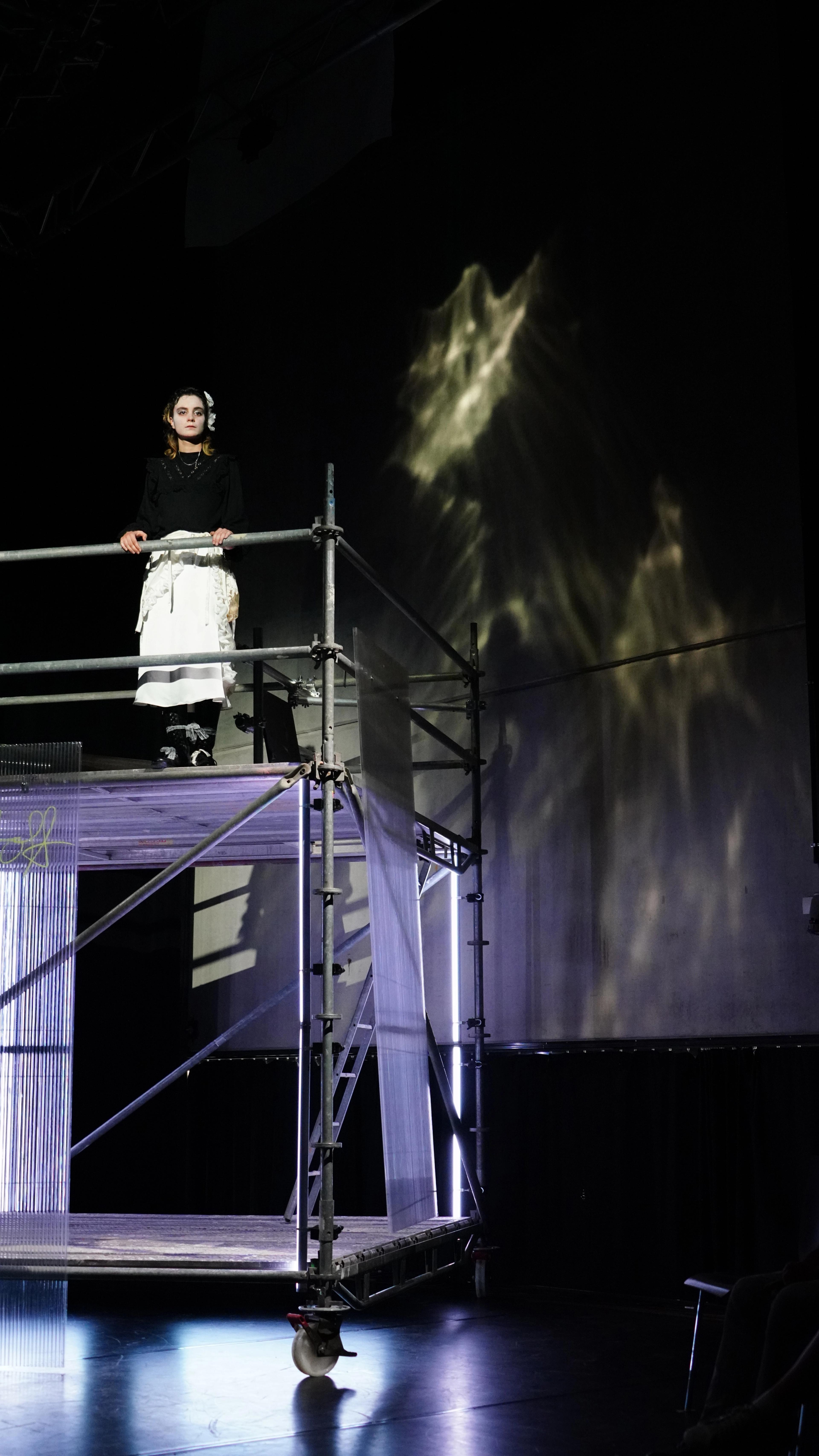 DIE MÖWE. NEIN UNSINN. / ЧАЙКА. НЕТ НЕ ТО.