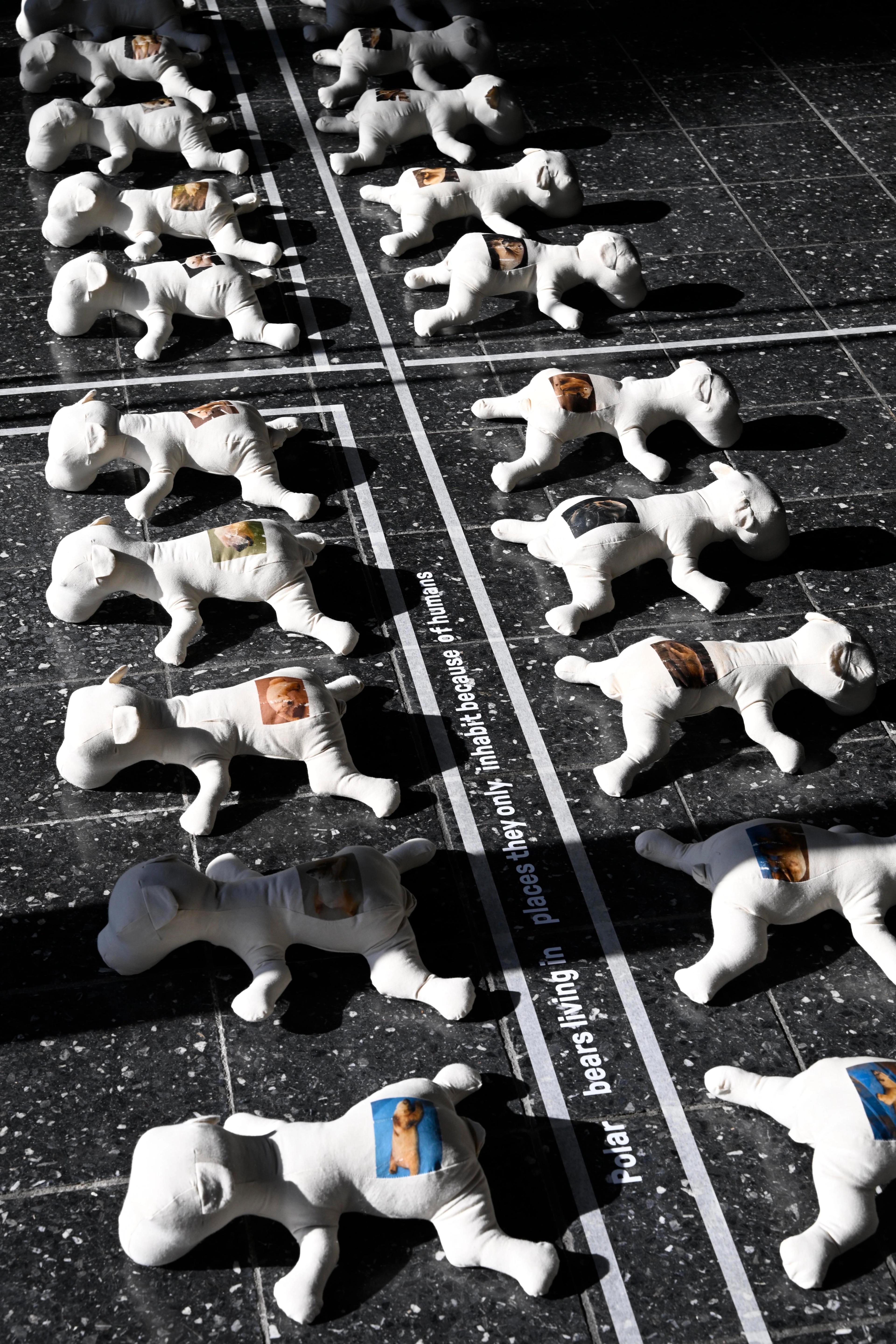 Ambassadors - Maximilian Zschiesche