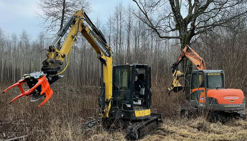 VÕSA LÕIKUS GILJOTIINIGA