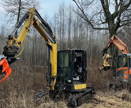 VÕSA LÕIKUS GILJOTIINIGA