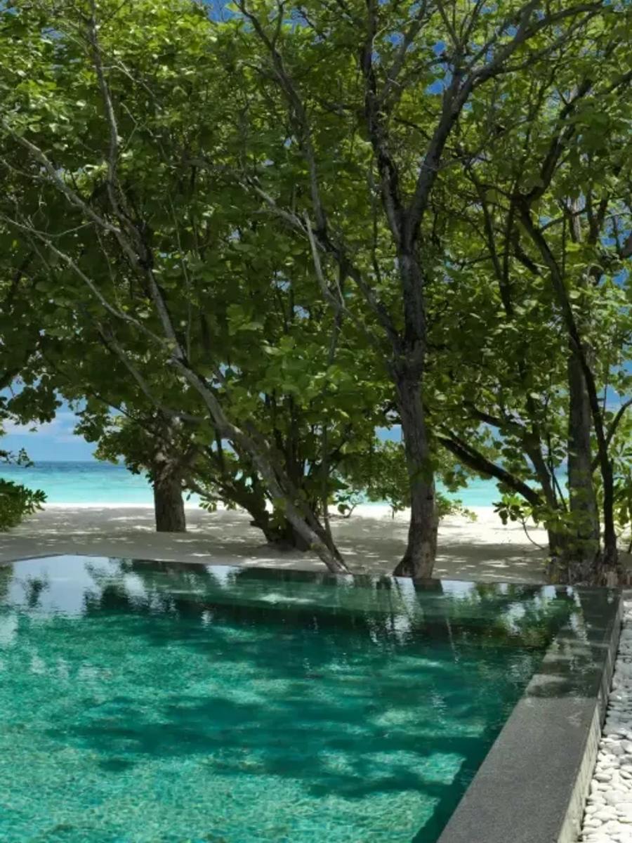 The private pool of a One Bedroom Deluxe Beach Pool Residence, glass doors open to the bedroom beyond