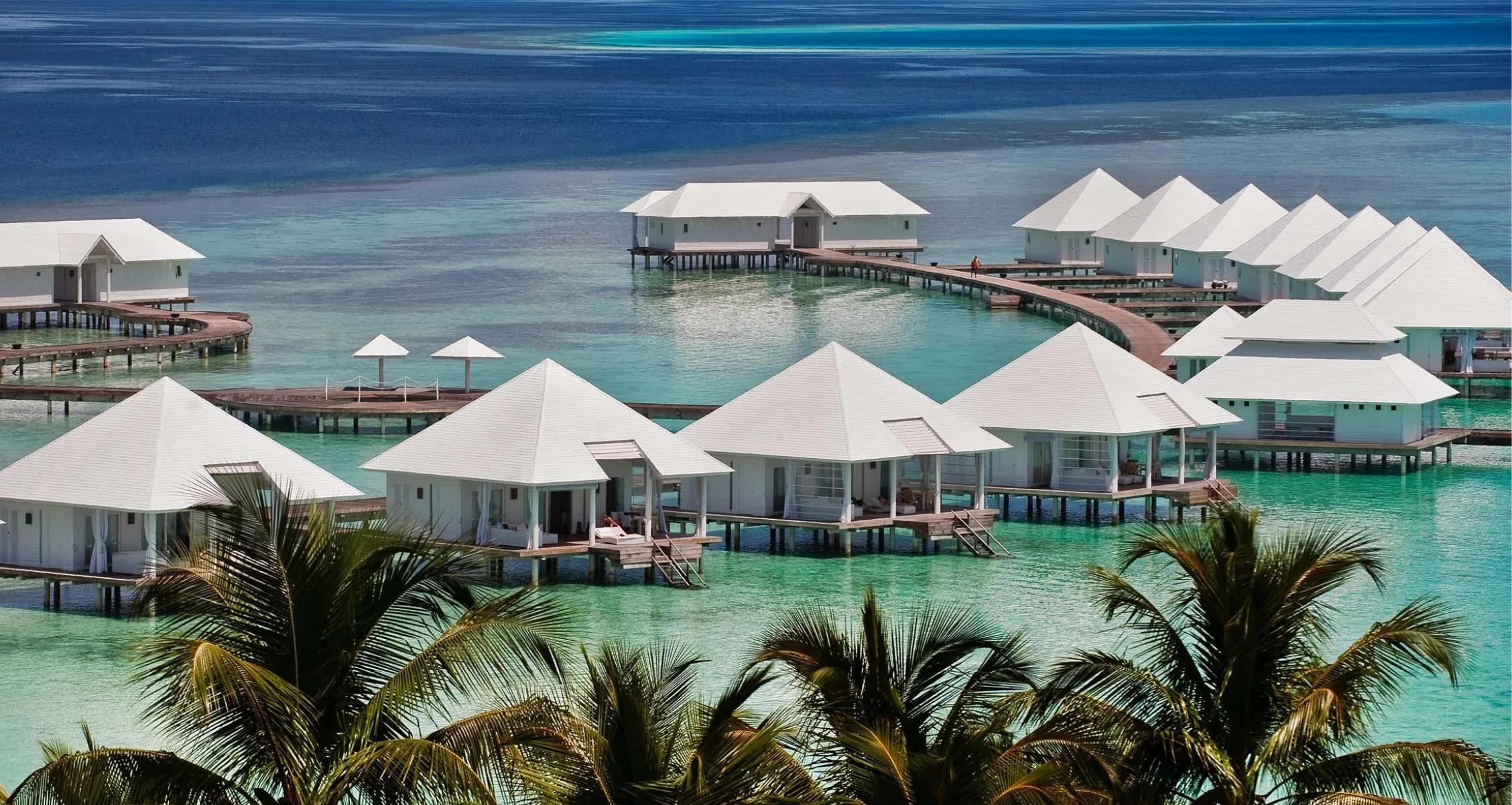 The water villa row at Diamonds Athuruga, framed by palm fronds
