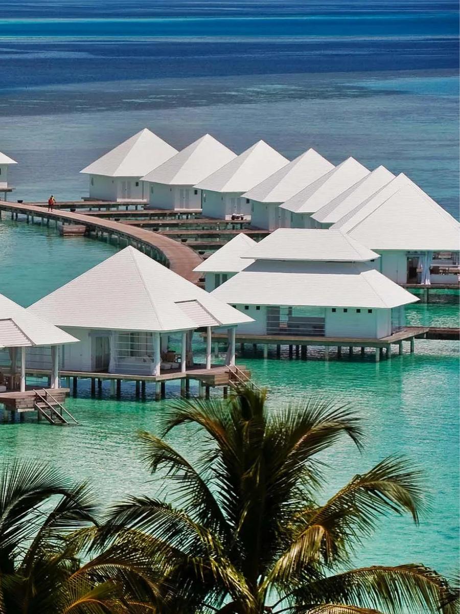 The water villa row at Diamonds Athuruga, framed by palm fronds
