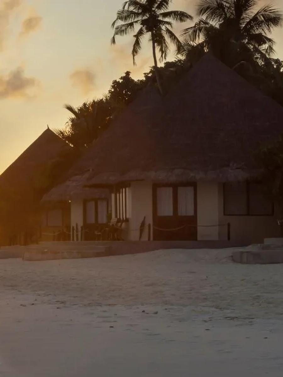 A thatched-roof villa silhouetted against a golden sunset over the ocean, palm trees overhead