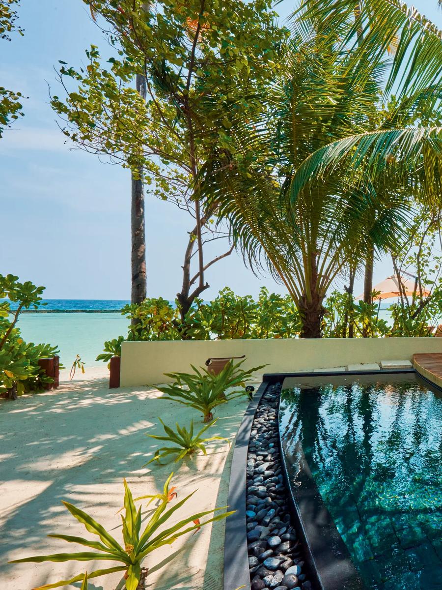 A Beach Villa's plunge pool and wooden sun deck, shaded by palm trees, with loungers, an umbrella, and an outdoor dining table set nearby, thatched roofline visible beyond