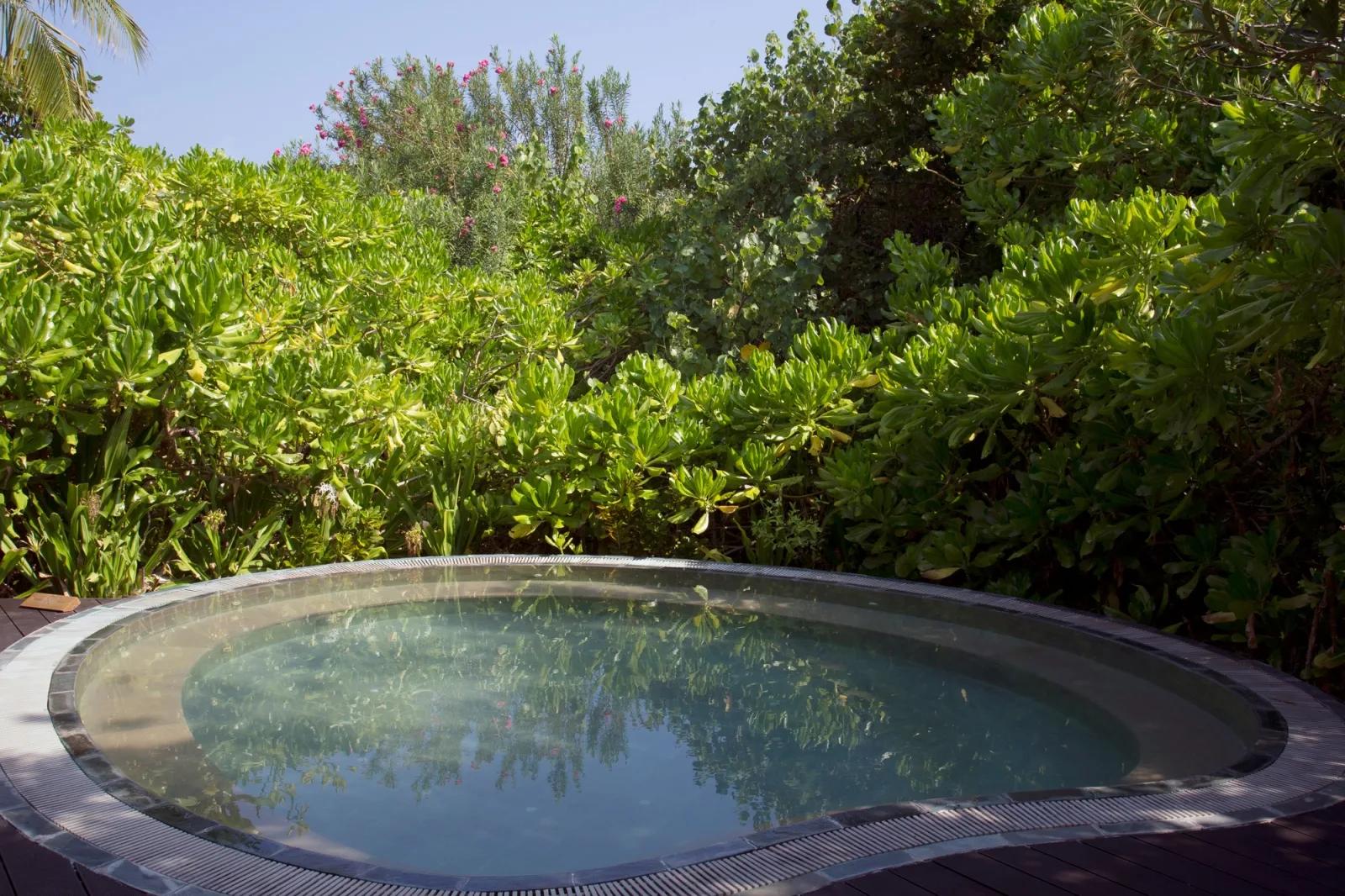 A round plunge pool at Coco Spa, reflecting the surrounding garden foliage
