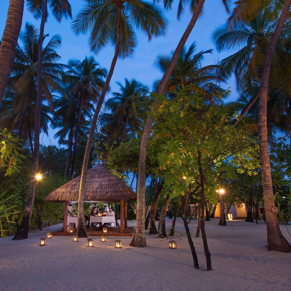 A lantern-lined path leads to a thatched garden pavilion set for dinner at Farivalhu, guests seated under palm trees at dusk