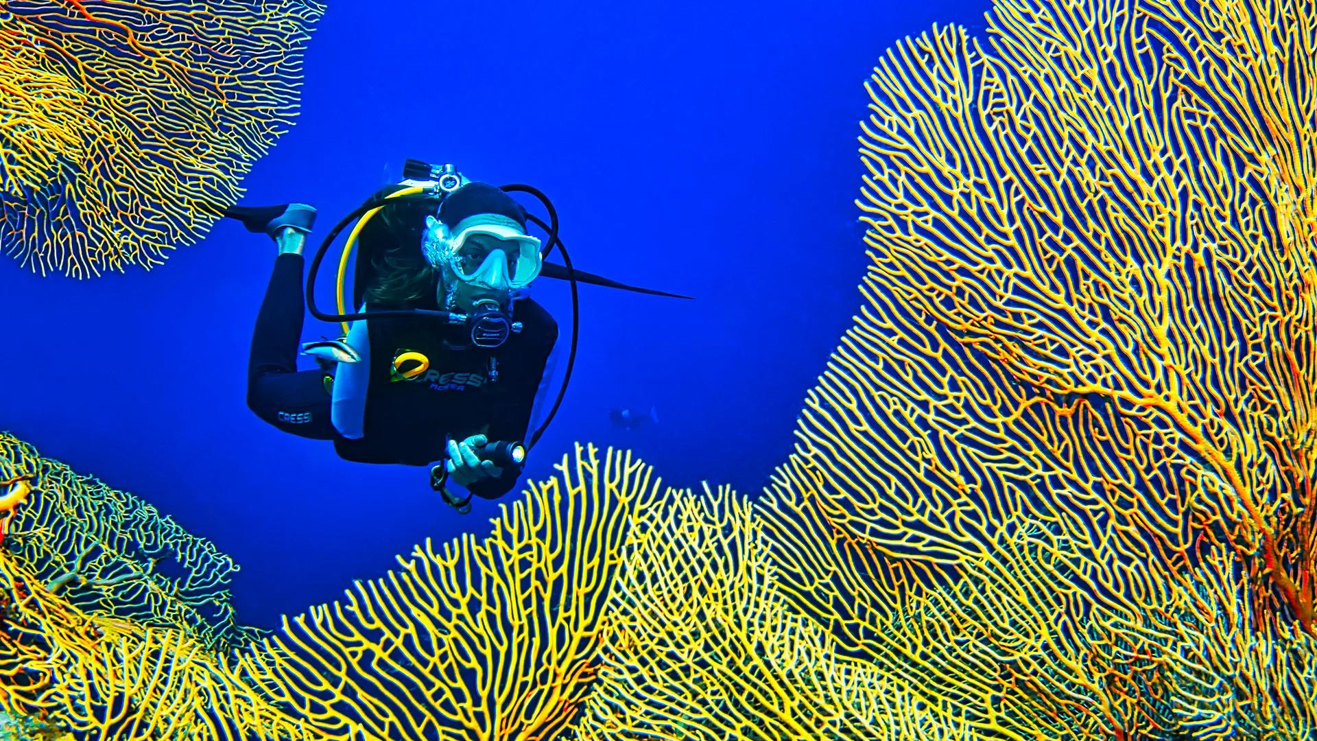 A diver descending near reef structure off Maamutaa Island