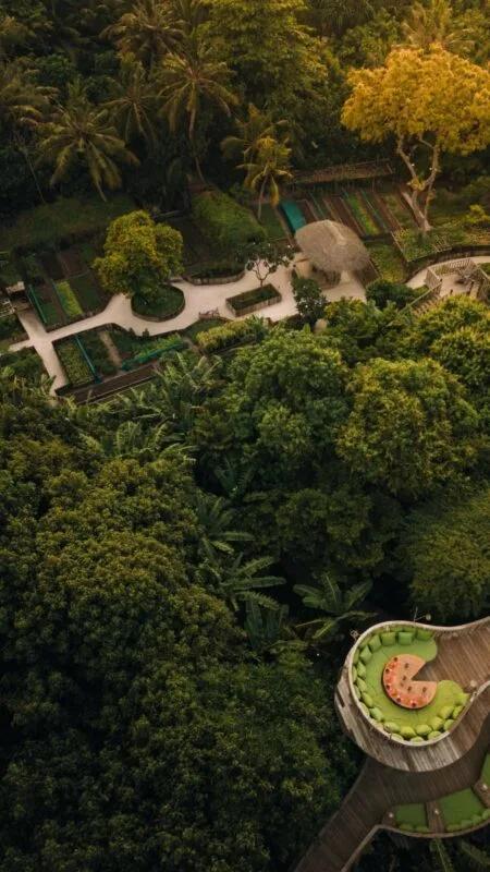 An aerial view of Soneva Fushi's organic garden plots, with Fresh in the Garden's circular raised dining deck visible at the lower right