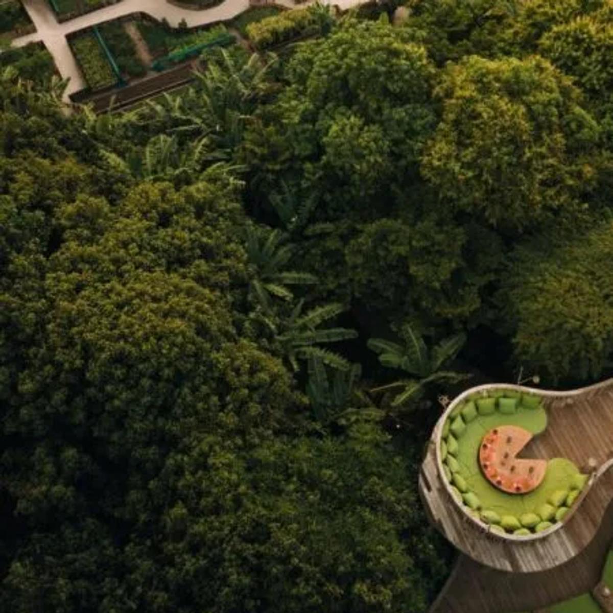 An aerial view of Soneva Fushi's organic garden plots, with Fresh in the Garden's circular raised dining deck visible at the lower right