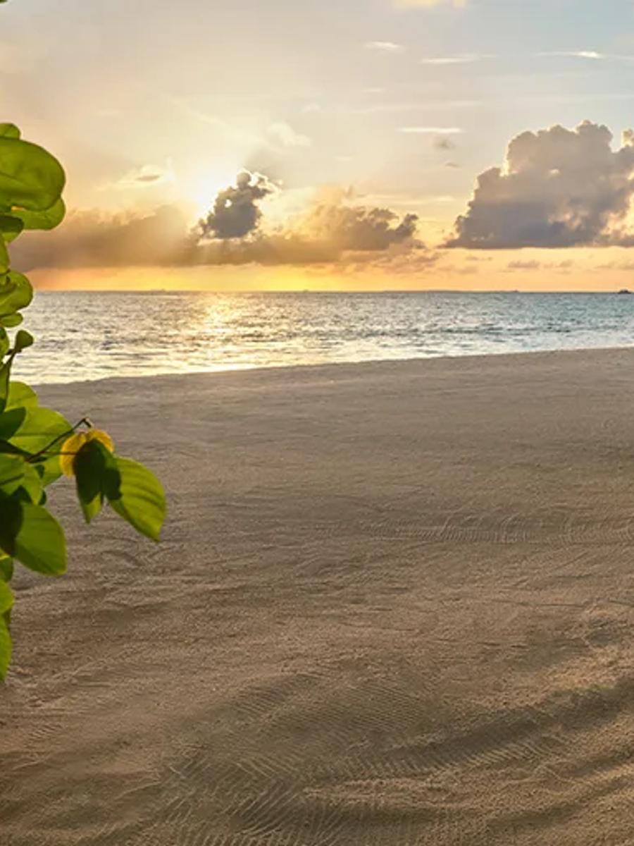 Exterior of a Sunset Beach Pool Villa at Anantara Dhigu, close to the beachfront
