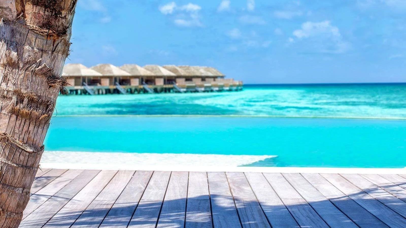 The lagoon and row of overwater villas seen past a palm trunk from Coco Bar's terrace