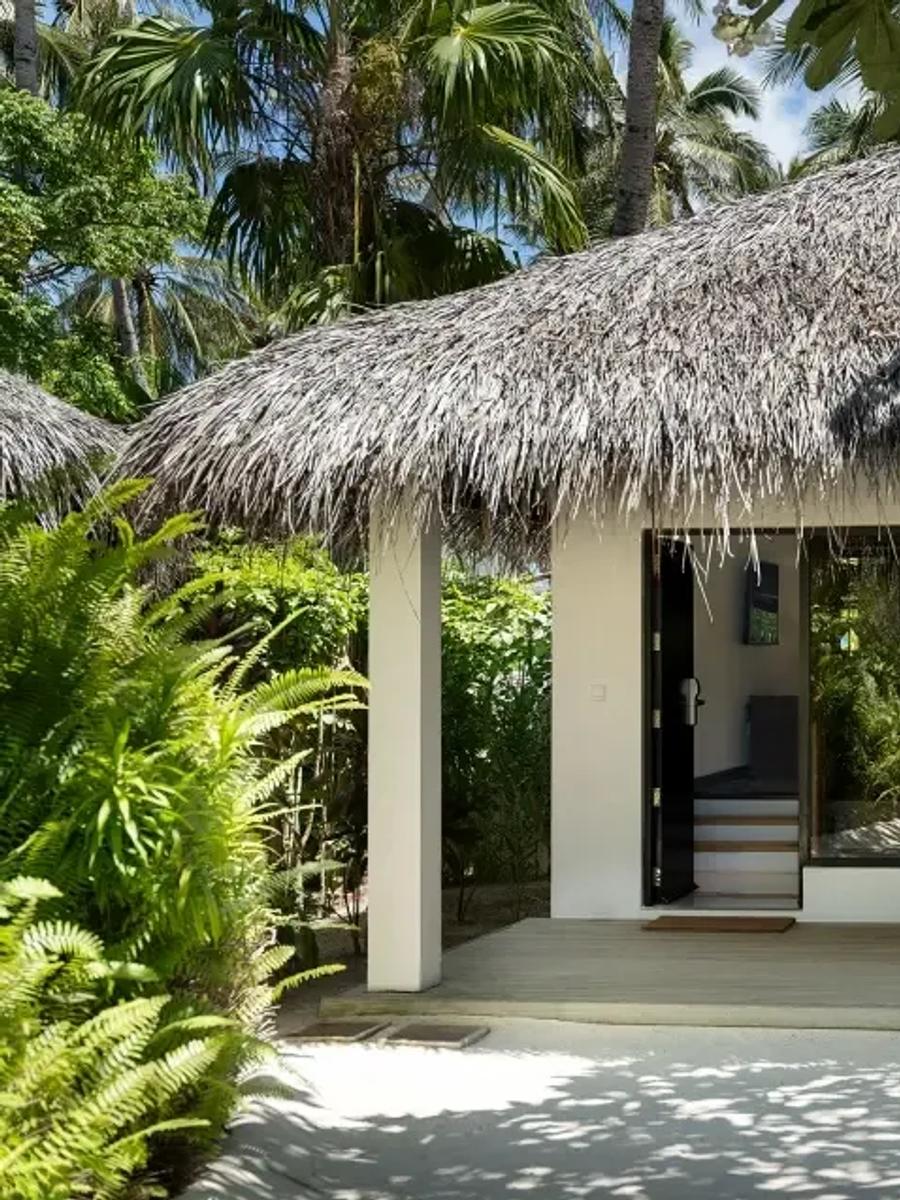 Deluxe Villa's thatched-roof exterior and garden lounge, framed by palms