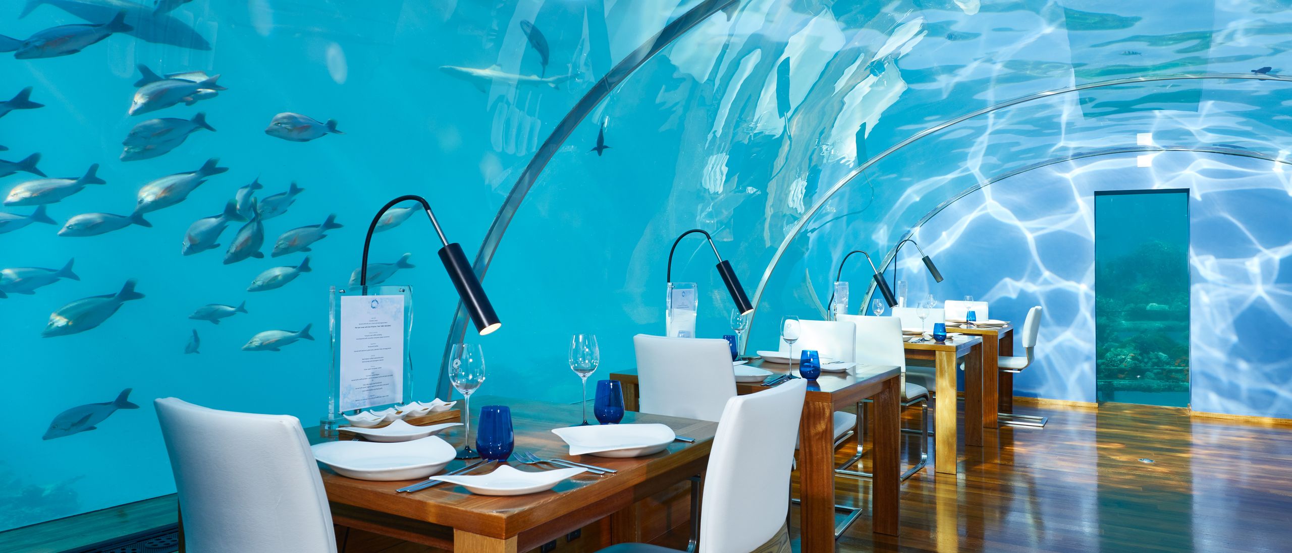 Maldives Underwater Restaurants: Dining Beneath the Indian Ocean